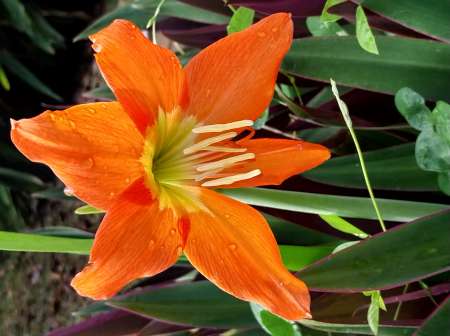 Soirée entre couple le 12/07