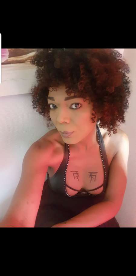 TRANS TOULOUSE (CASTELGINEST)